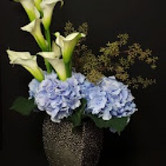 Seller Image